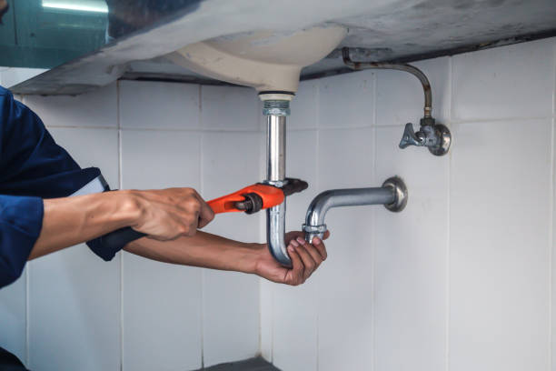 Best Commercial Plumbing Services  in Mogul, NV